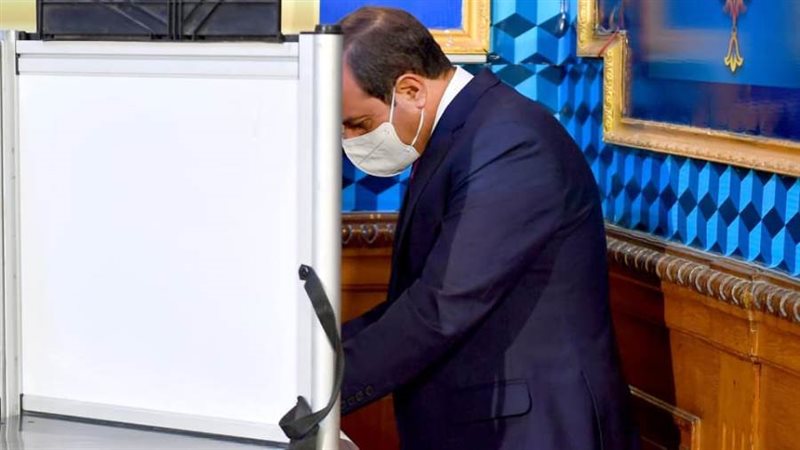 الرئيس السيسي يدلي