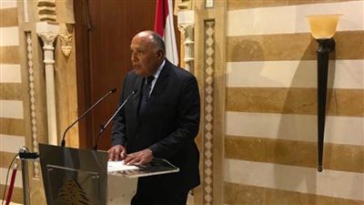 وزير الخارجية: لبنان يحتاج إلى 