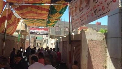 عمليات مستقبل وطن: تزايد أعداد الناخبين بانتخابات مجلس الشيوخ