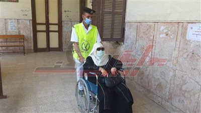 المنوفية تستجيب لمسنة أرادت الإدلاء بصوتها في انتخابات الشيوخ