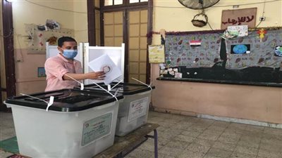 انتخابات مجلس الشيوخ 2020| مصر كسبانة 