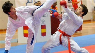 نجم الكاراتيه 