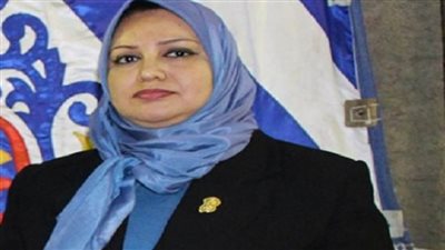 وكيل قوى النواب تطالب بتخفيض قيمة التصالح فى مخالفات البناء بالقرى والعزب