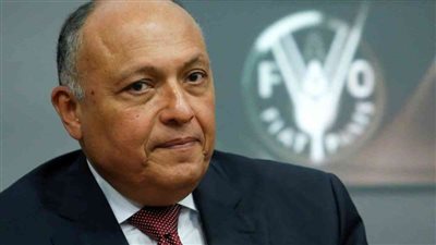 وزيرا الخارجية والري يشاركان فى اجتماع حول سد النهضة