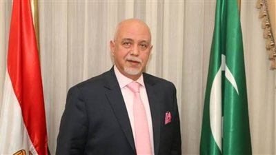 الجندي: السيسي يسدد فاتورة فساد الماضي.. والدولة تتحمل الجزء الأكبر من تكلفة الخدمات