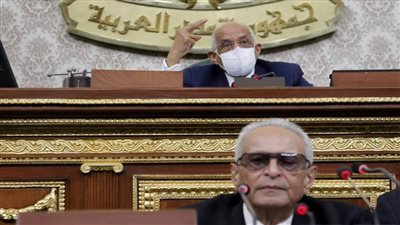 عبدالعال: قانون تقسيم الدوائر الانتخابية يحتاج لتغليب المصلحة العامة