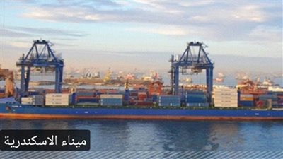 تداول 102 ألف طن و501 حاوية و11 ألف شاحنة عامة بميناء الإسكندرية  