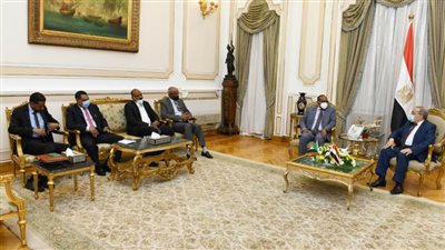 وزير الإنتاج الحربى يبحث مع مدير الصناعات الدفاعية السودانية التعاون المشترك
