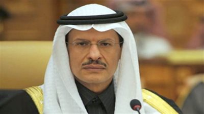 وزير الطاقة السعودي: مساحة مشروع 