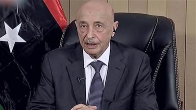 رئيس النواب الليبي يدعو لوقف شامل لإطلاق النار والبدء في انتخابات نزيهة