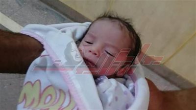 العثور على طفل حديث الولادة ملقى تحت شجرة بالمنيا
