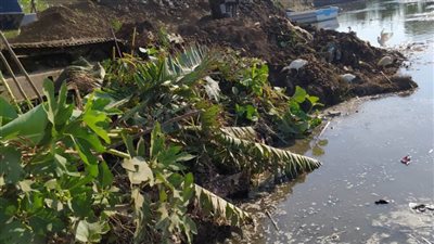 إزالة 724 حالة تعد على أملاك الدولة بالدقهلية