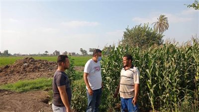 حملات لاستباق نوبة التلوث البيئي الحاد.. تعرف على التفاصيل