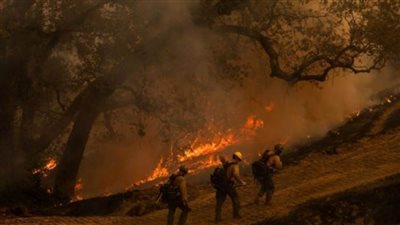 إسبانيا: إخلاء نحو 2400 شخص إثر اندلاع حرائق بالغابات جنوبي البلاد