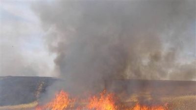 عاجل..حريق في قاعدة عسكرية وسط إسرائيل