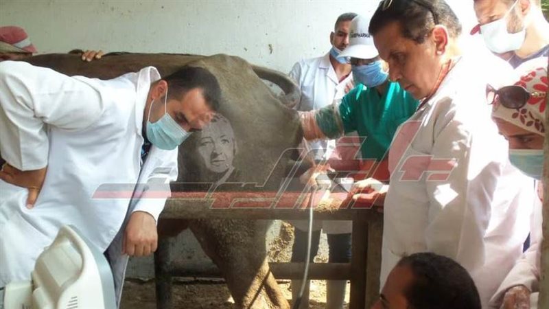 تحصين الحيوانات ضد