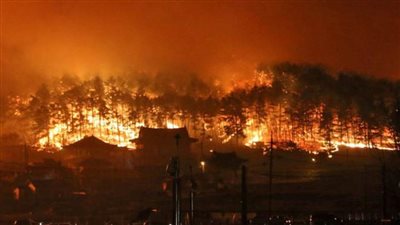 النيران تلتهم  أكثر من 600 هكتار من الغابات جنوبي كاليفورنيا