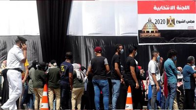 تصويت المصريين بالداخل في جولة إعادة بانتخابات مجلس الشيوخ 2020 غدا