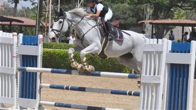 فروسية سموحة تتصدر نهائي بطولة الجمهورية