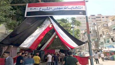 انطلاق تصويت المصريين بالداخل في جولة الإعادة بانتخابات مجلس الشيوخ في 14 محافظة