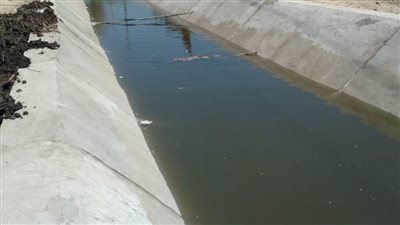 تنفيذ 20 قرار إزالة وتأهيل وتبطين ترعتى لوقين بكفر الدوار