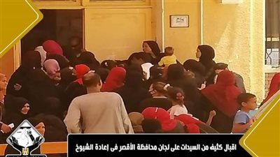 عمليات تنسيقية شباب الأحزاب: إقبال كثيف للسيدات على اللجان بالأقصر في 
