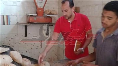 لمراقبة وزن رغيف الخبز.. تحرير 119 محضرا تموينيا بـ”المنوفية“