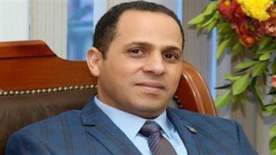 جائزة التميز الحكومى ورشة عمل بجامعة دمنهور