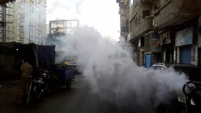 رش وتطهير الغيط الصعيدي لمكافحة الباعوض والحشرات الطائرة 