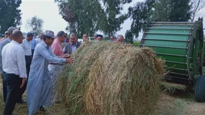 جمع وتدوير ٢٣٨ ألف طن قش أرز في ٦ محافظات 