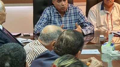 التيار الوطني المصري يواصل استعداداته للنواب