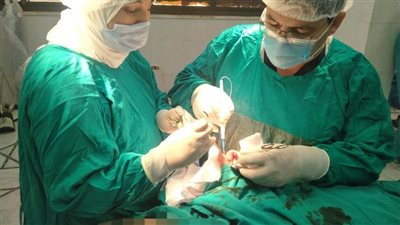 جهود صحة الشرقية في جراحات وفحوصات أورام الثدي بالمبادرة الرئاسية لدعم صحة المرأة