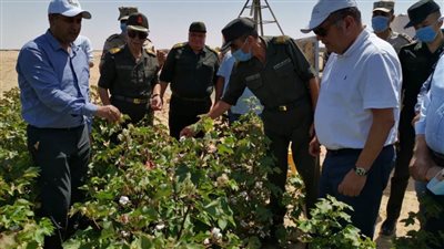 وزير قطاع الأعمال يتفقد تجربة زراعة القطن قصير التيلة بشرق العوينات