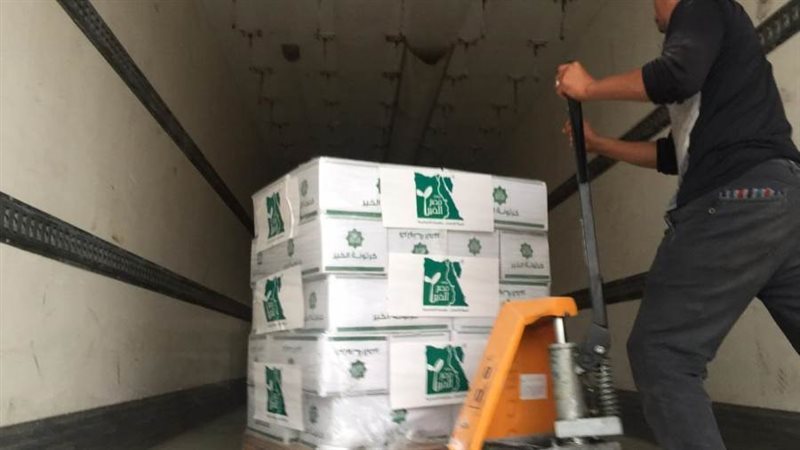 المساعادات المصرية