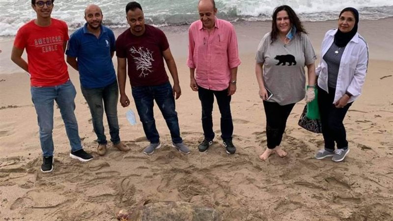 فريق إنقاذ الزواحف