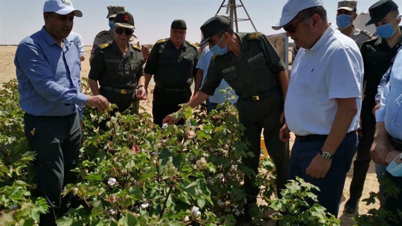 وزير قطاع الأعمال