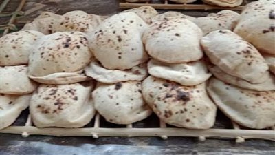 تموين الإسماعيلية: خطة لمراقبة عمل المخابز