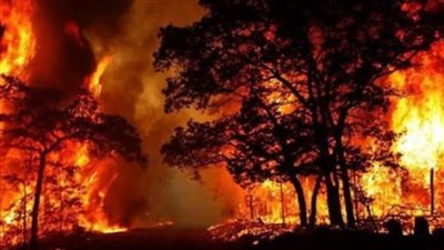 مصرع 35 شخصًا في حرائق الغابات التي تجتاح غرب الولايات المتحدة