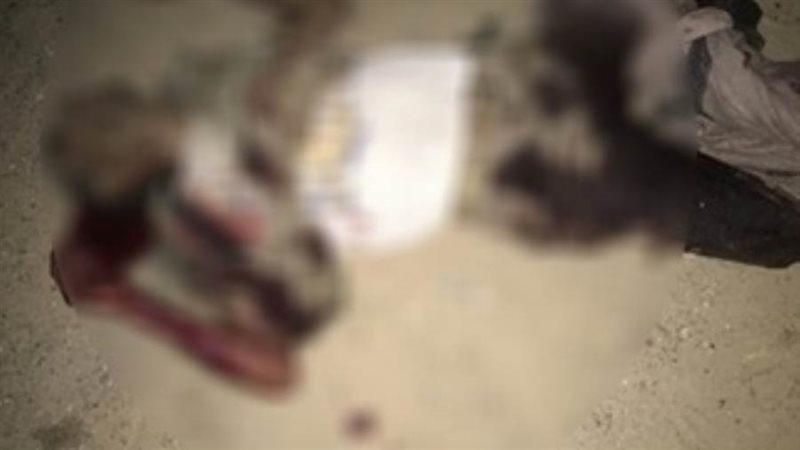 العنصر الإجرامي