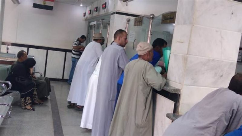 موطني كفرالشيخ يتقدمون