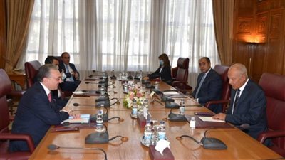 أبو الغيط يطلع وزير خارجية أرمينيا على التدخلات التركية بالشؤون العربية