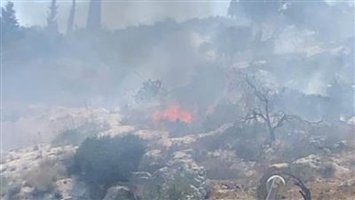 اليونان تكشف عن المتورطين في حرق مخيم 