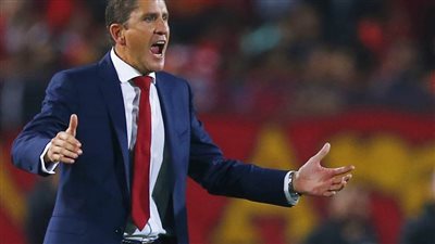 ارتفاع أسهم جاريدو لتدريب الزمالك