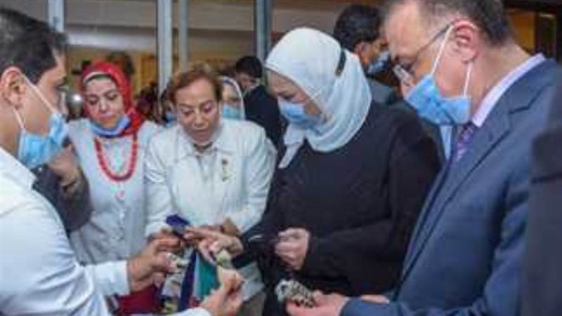 محافظ الاسكندرية