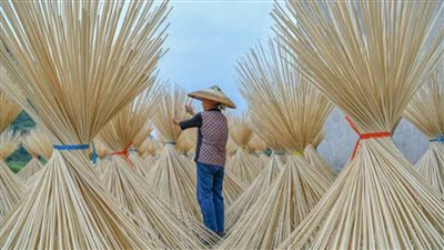 الصين تعلق استيراد منتجات مائية من شركة إندونيسية بسبب فيروس كورونا الجديد