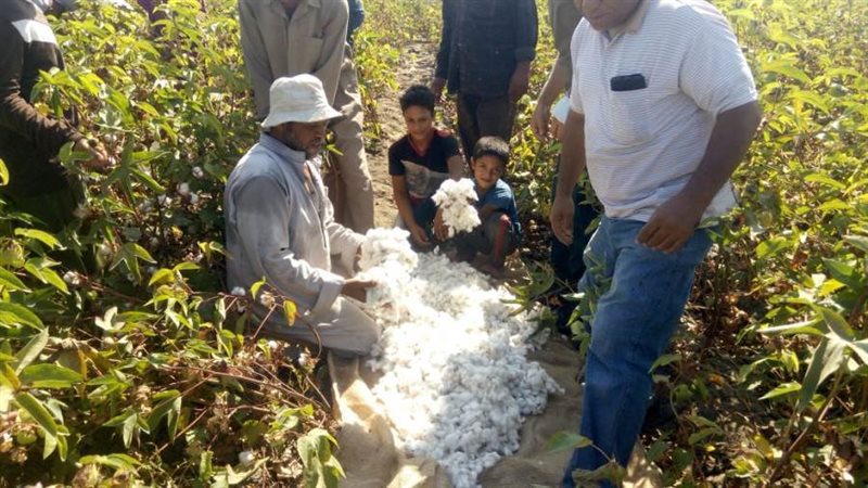 جانب من الاحتفال