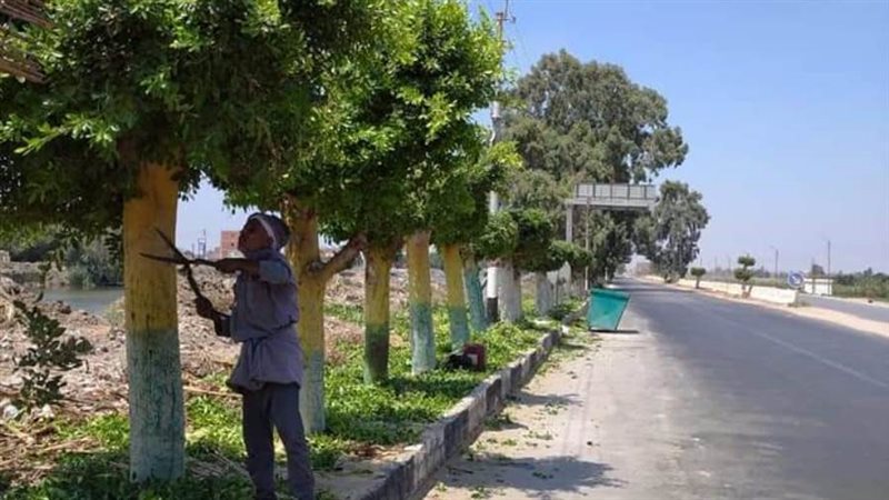 جانب من تضافر الجهود