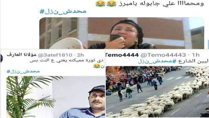 بوابة روز اليوسف