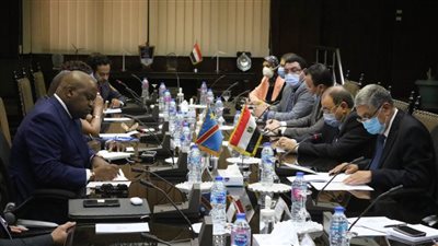 تعاون مصري كونغولي في مجال الكهرباء والطاقة المتجددة