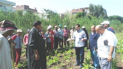 ندوة إرشادية لمزارعى بنجر السكر بزراعة البحيرة